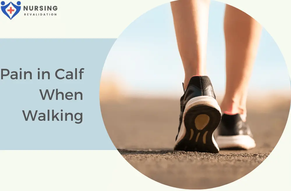 Pain In Calf When Walking Nursing Revalidation