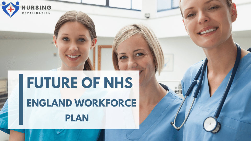 the NHS England Workforce Plan