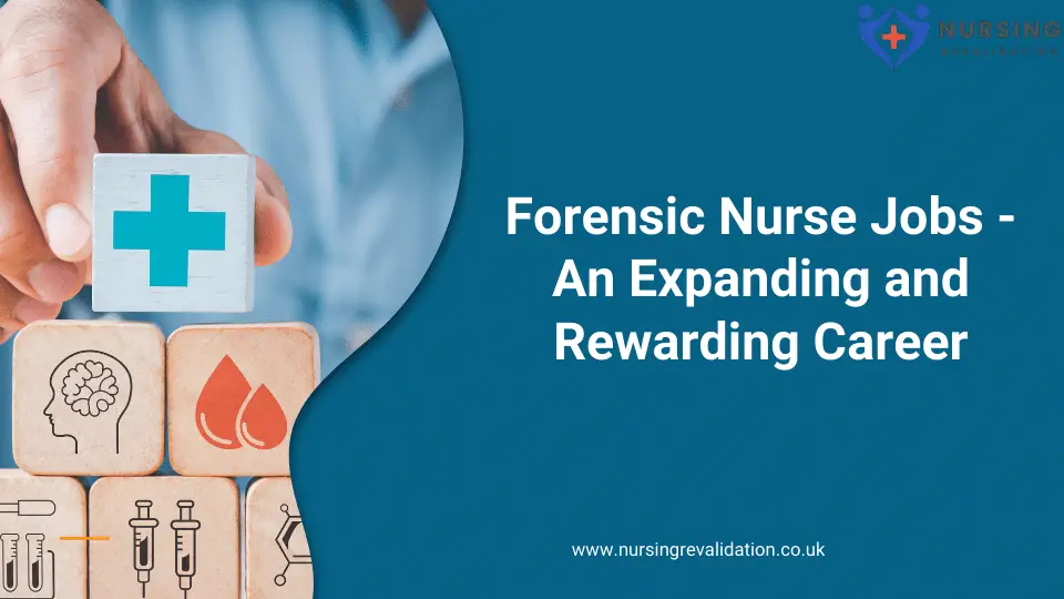Forensic Nurse Jobs